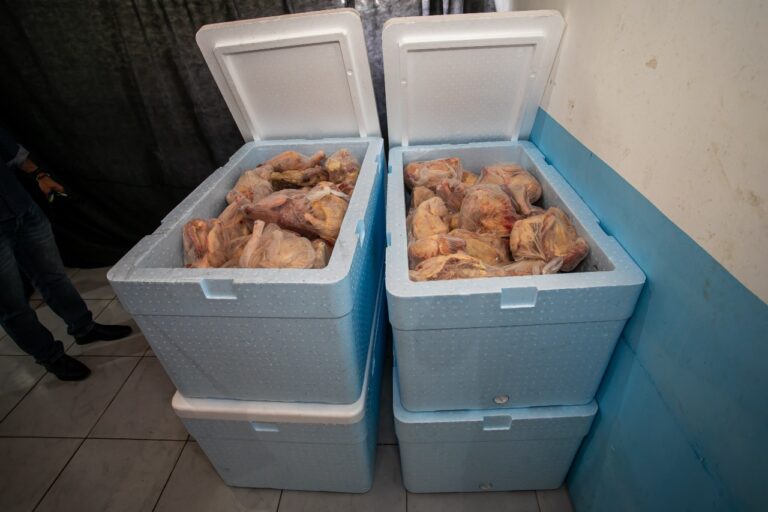 Frangos que compõem os kits da merenda escolar entregues nas casas do estudantes durante a pandemia